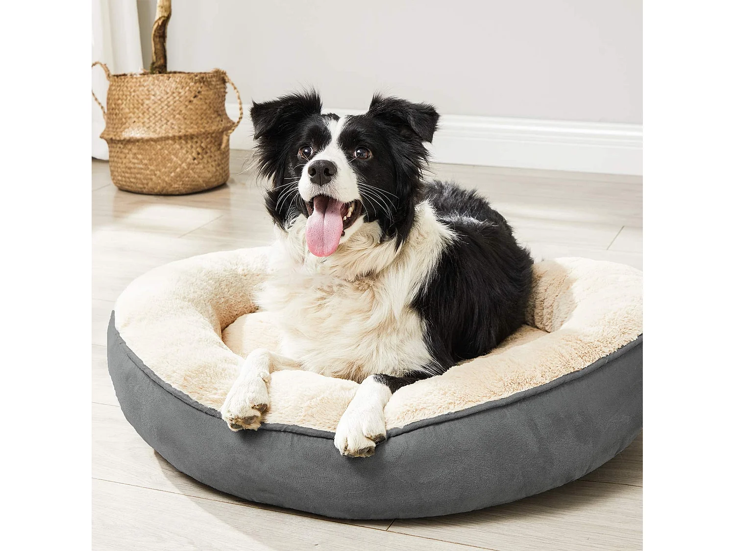 Lit pour chien et lit pour chat