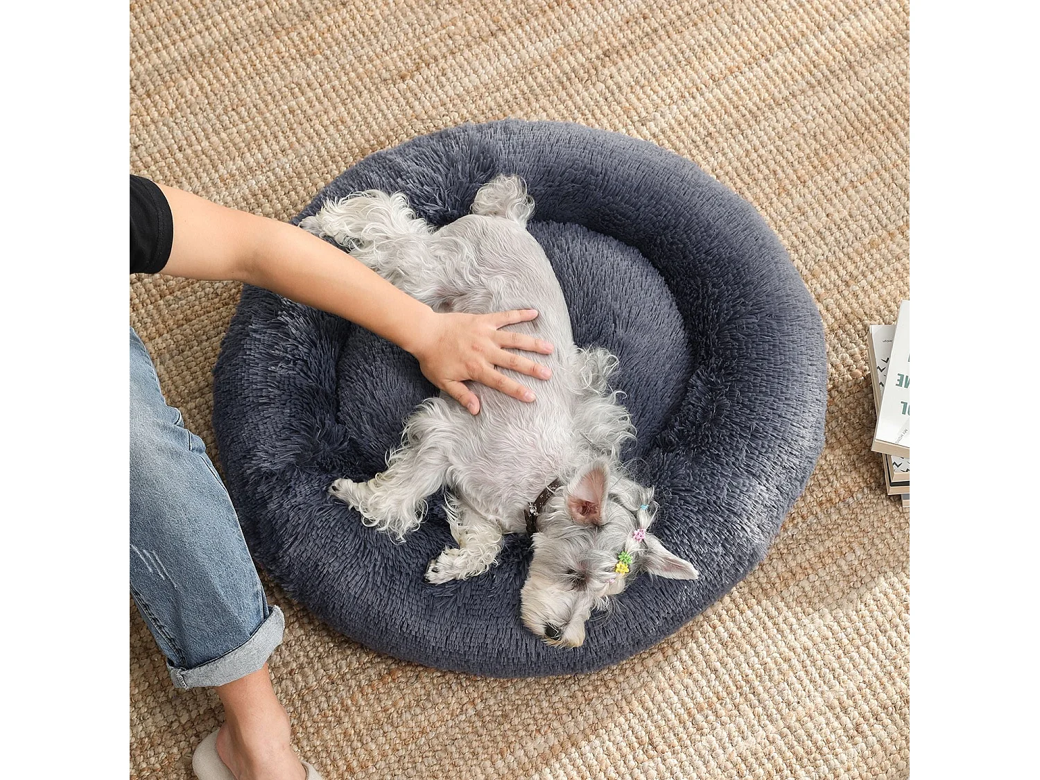 Panier pour chien Fehmarnsund