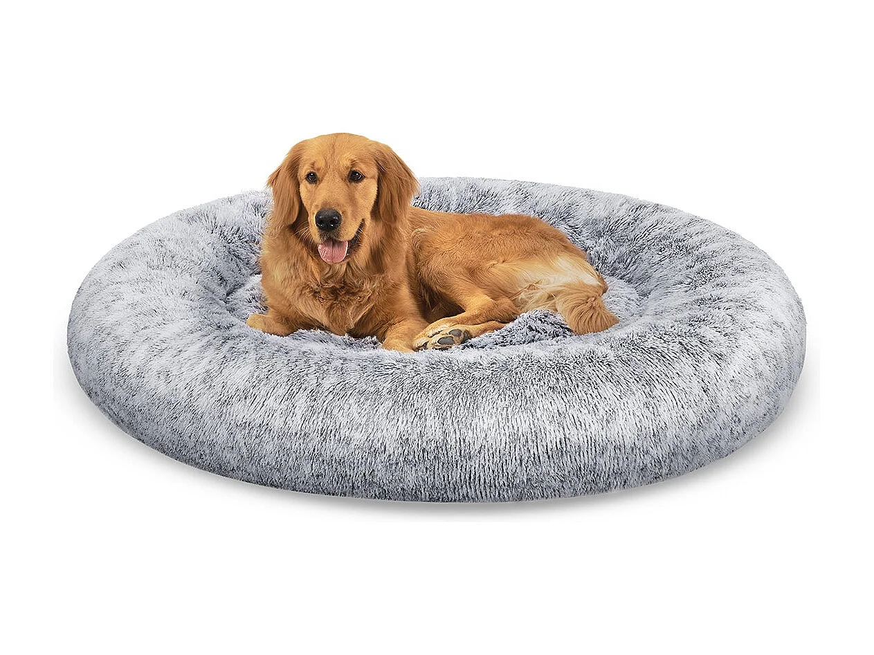 Hundebett North Perth