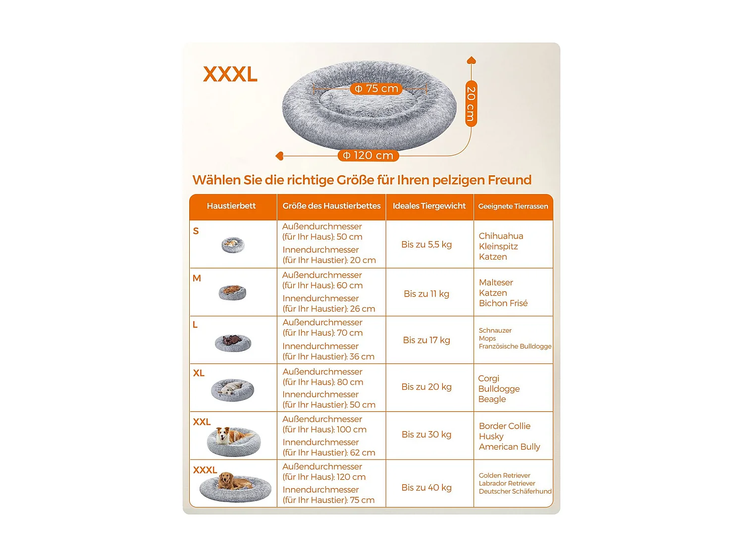 Hundebett North Perth