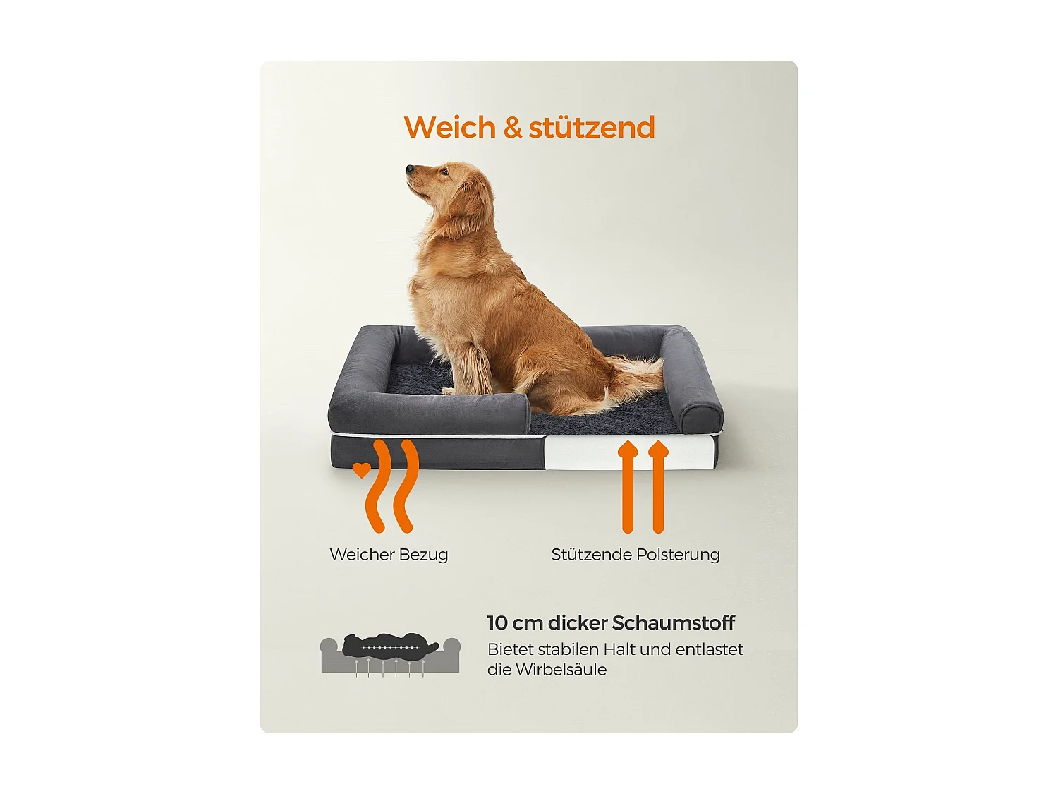 Lit pour chien Santo Domingo