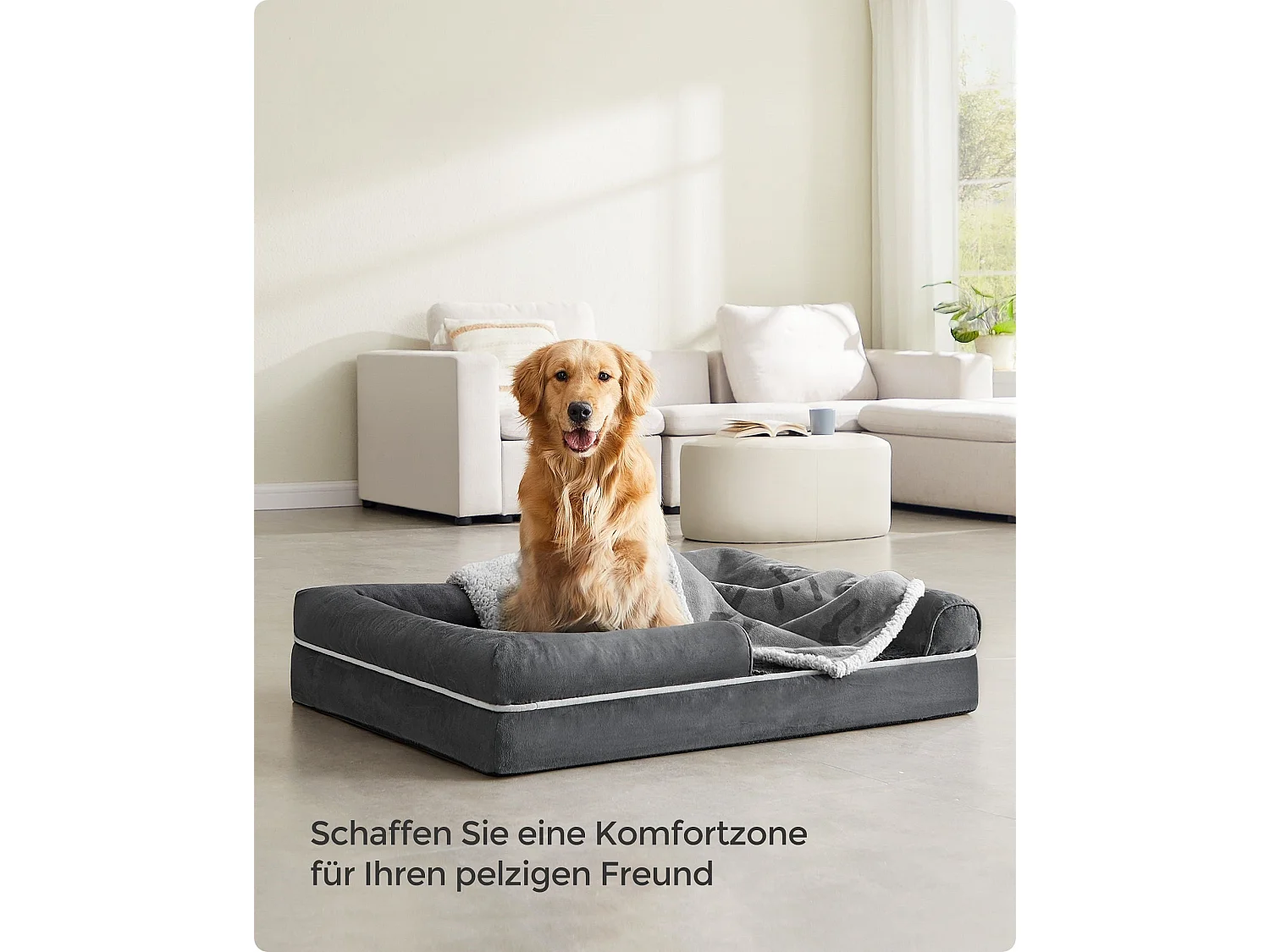 Lit pour chien Santo Domingo