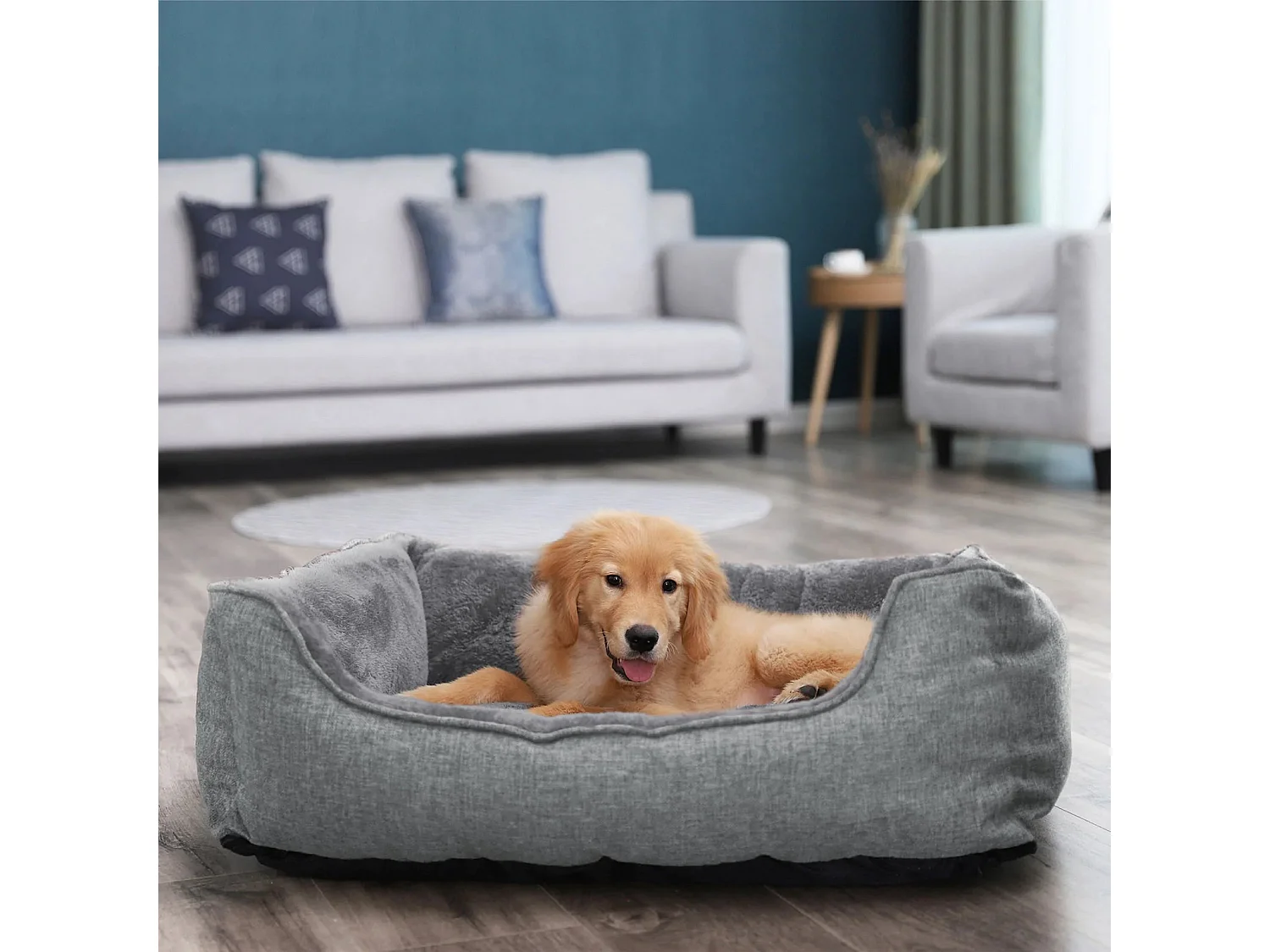 Hundesofa Antananarivo