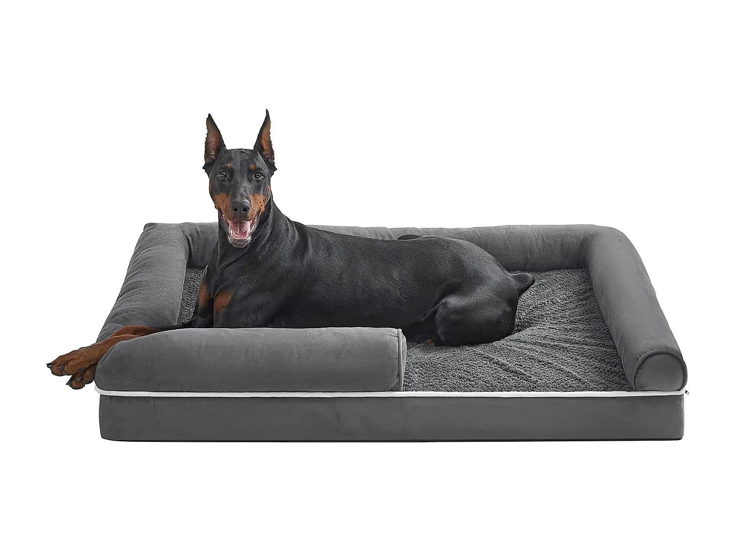Lit pour chien Daulatnagar