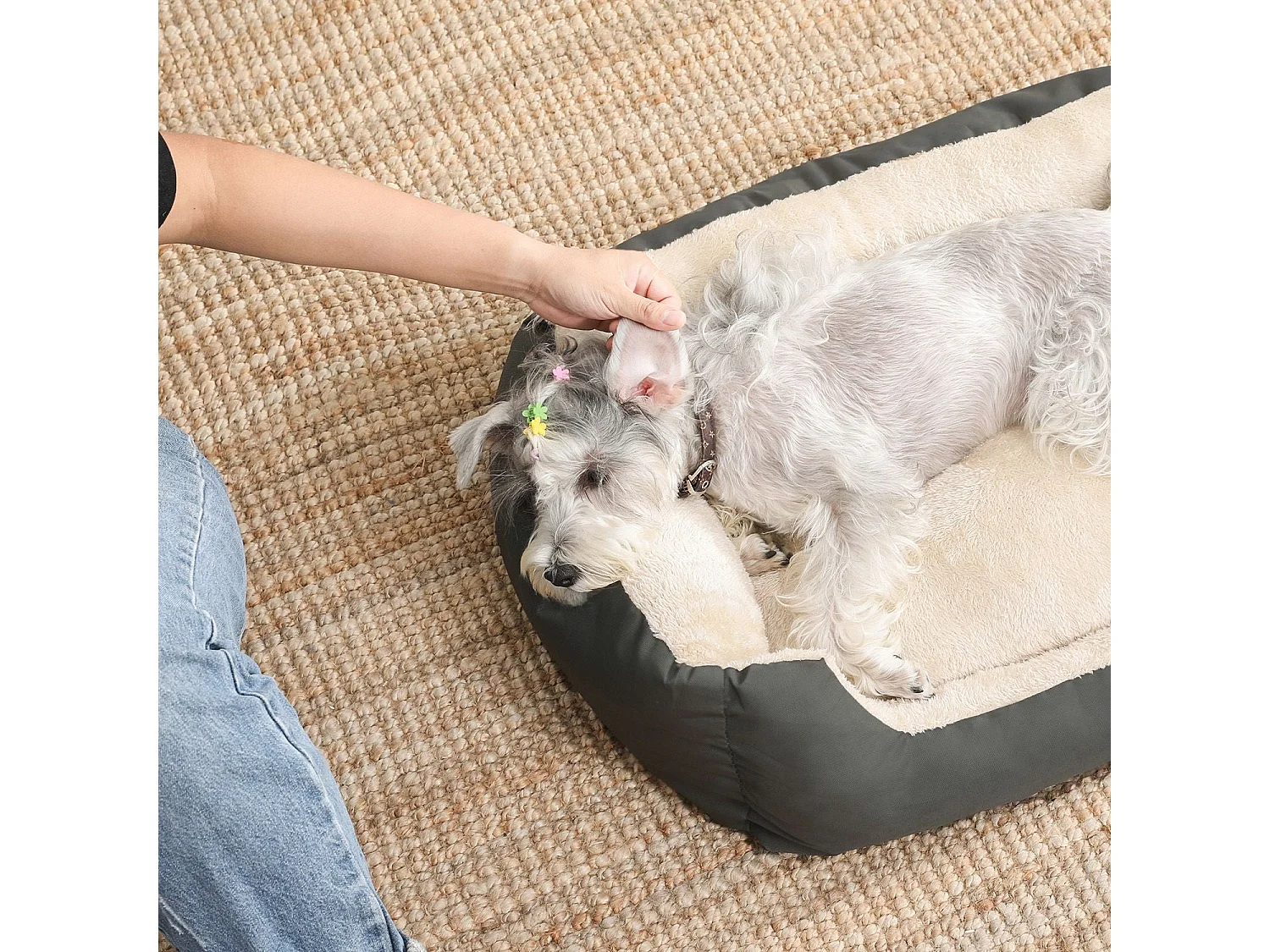 Lit pour chien Christchurch