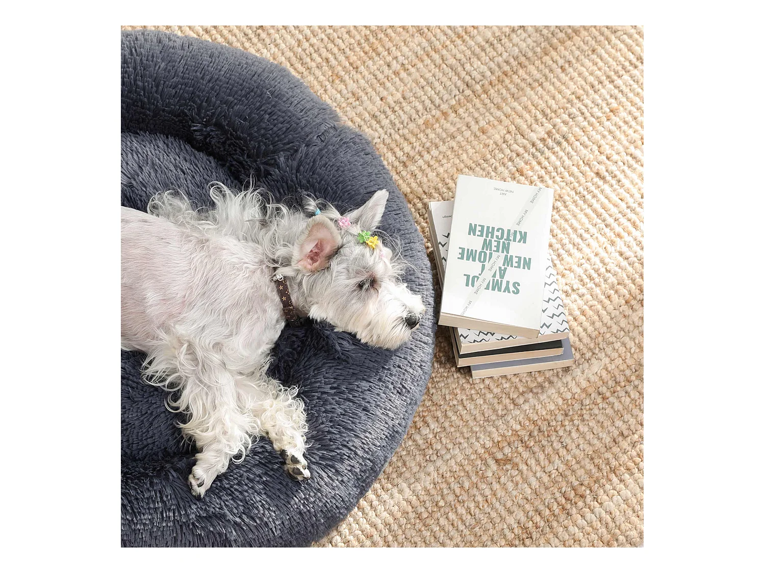 Lit pour chien et lit pour chat