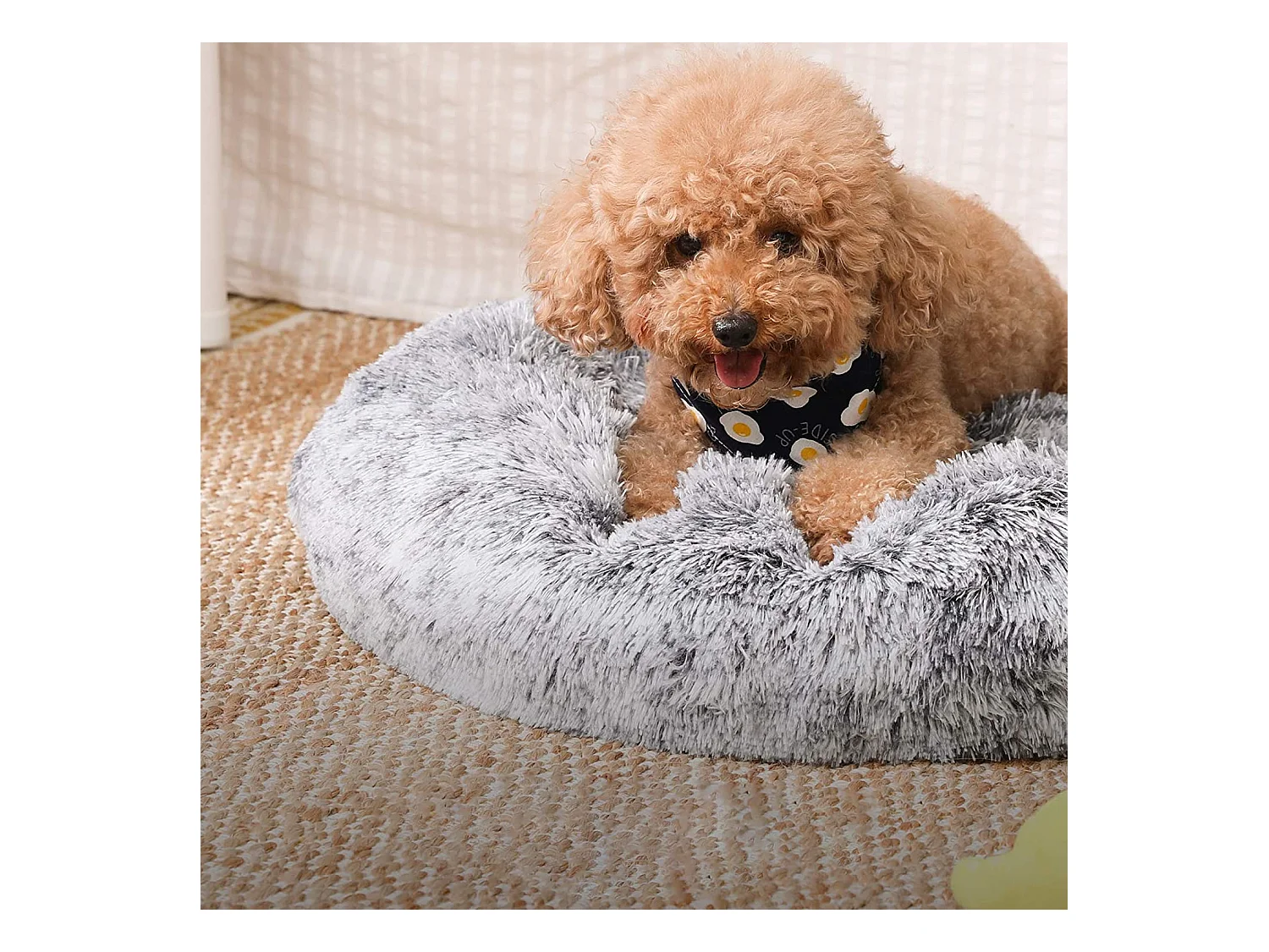 Lit pour chien et lit pour chat