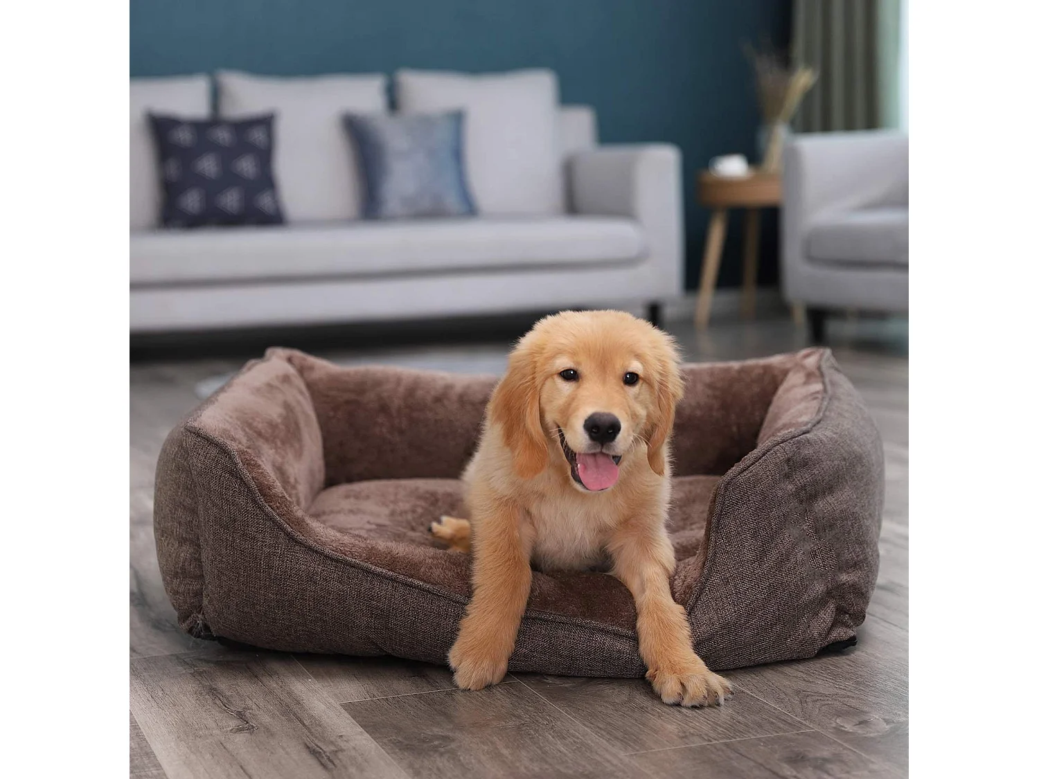 Hundesofa Antananarivo