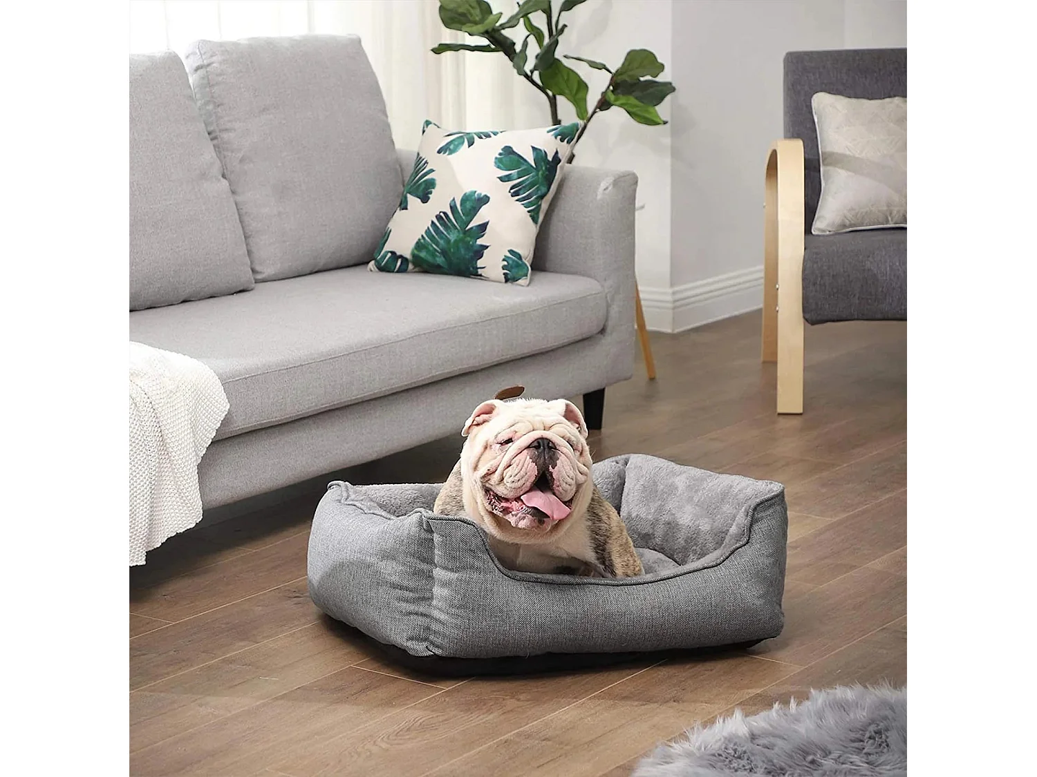 Hundebett River Ridge