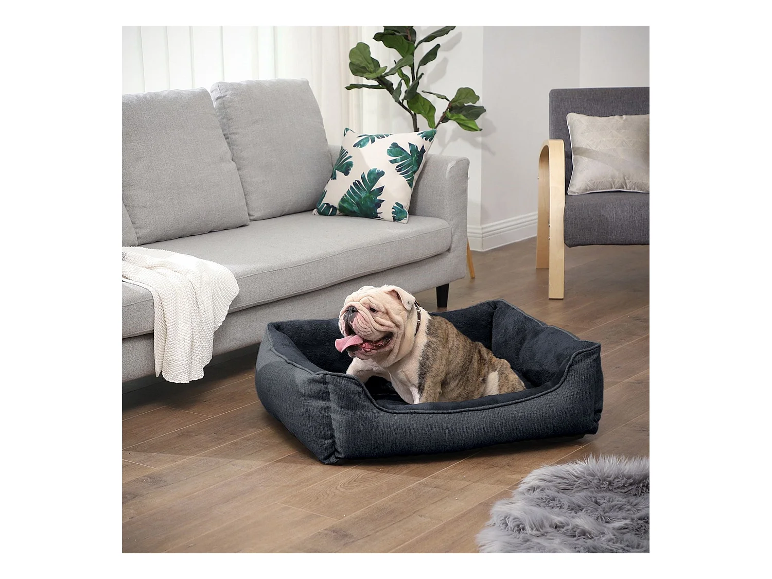 Hundebett Queenstown