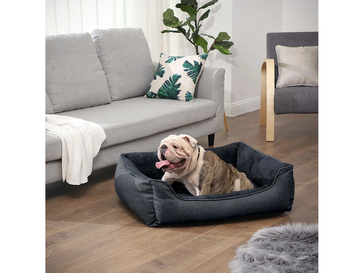 Hundebett Queenstown