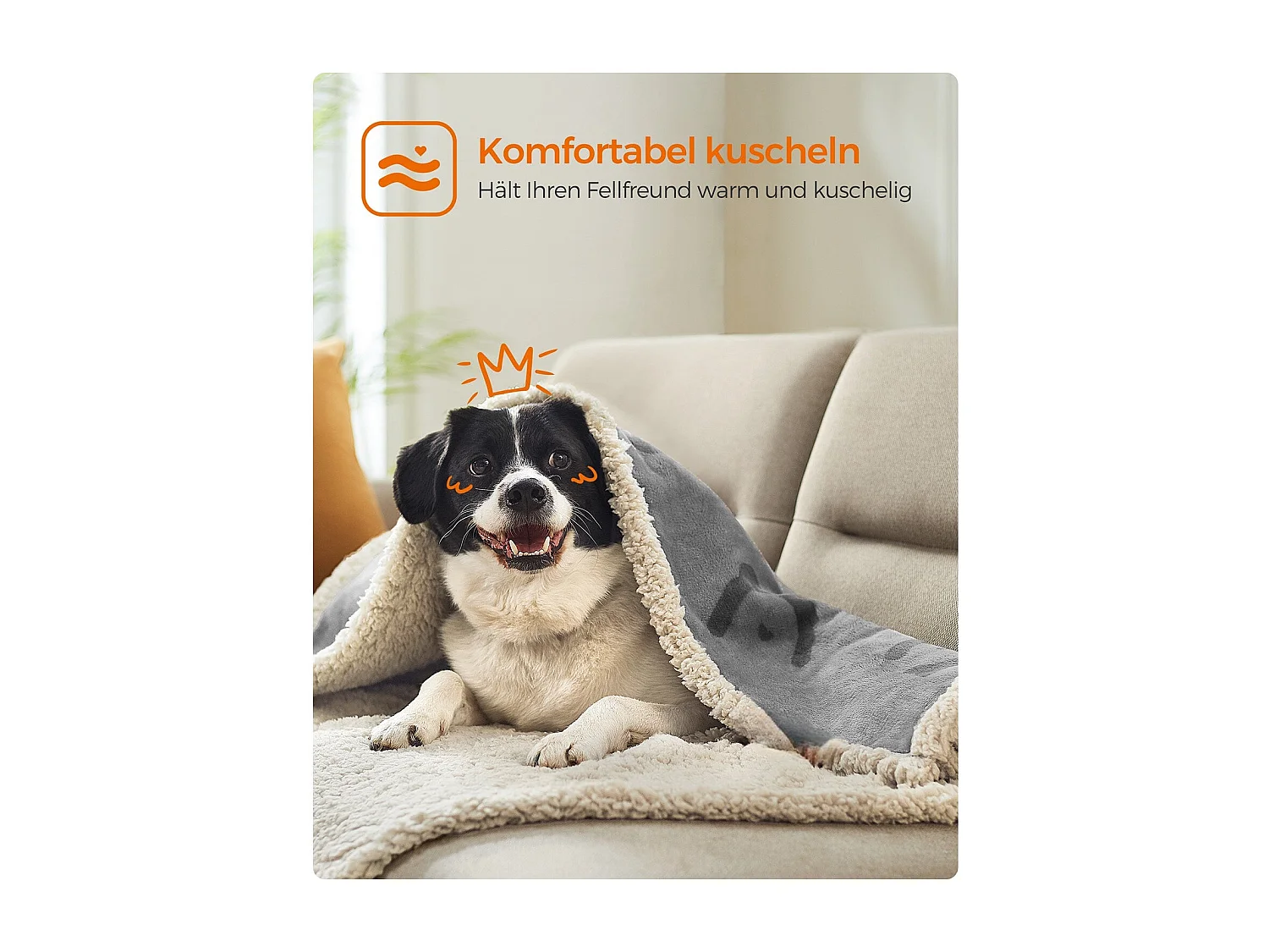 Hundedecke Melbourne