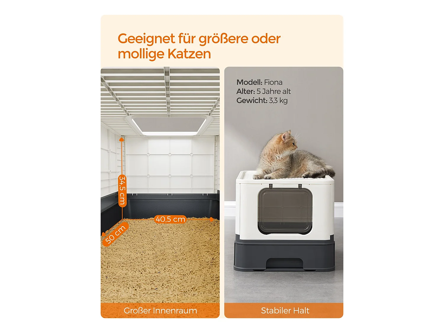 Katzenklo Puttanattam