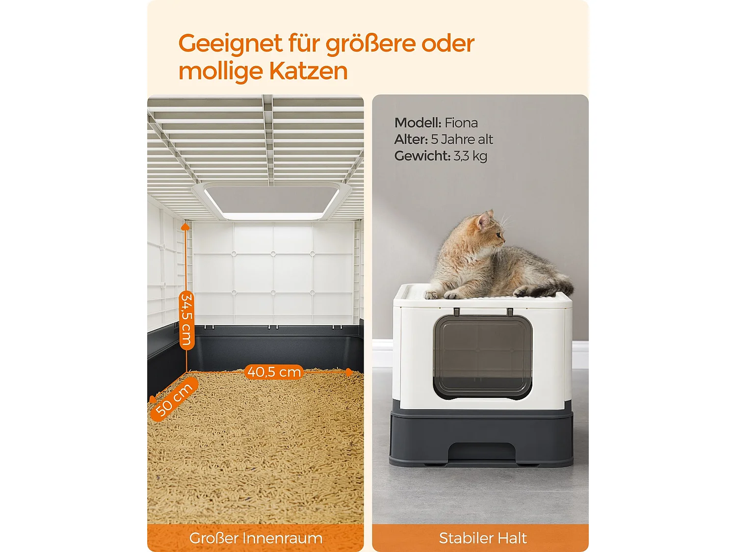 Katzenklo Puttanattam