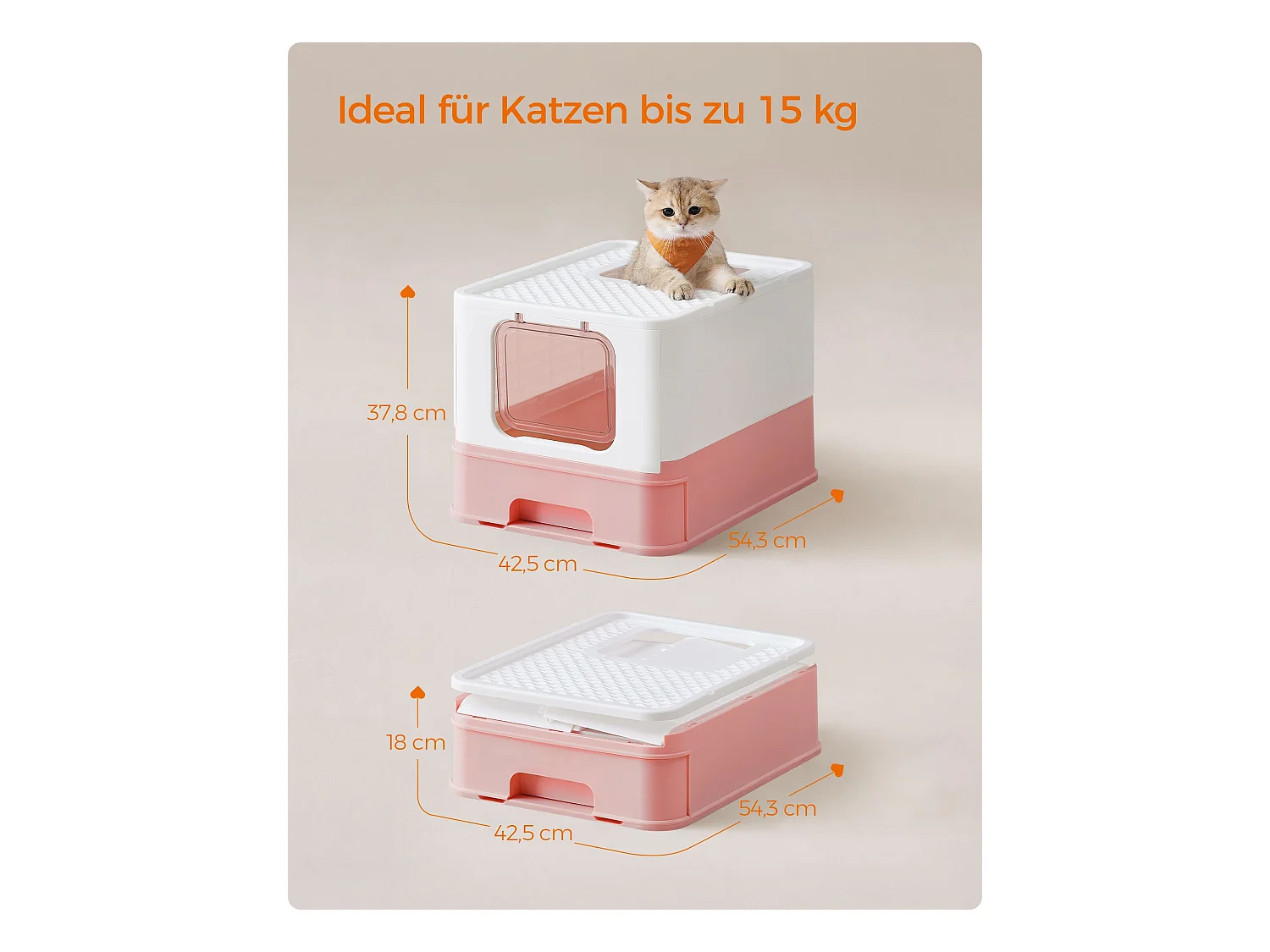 Katzenklo New Germany