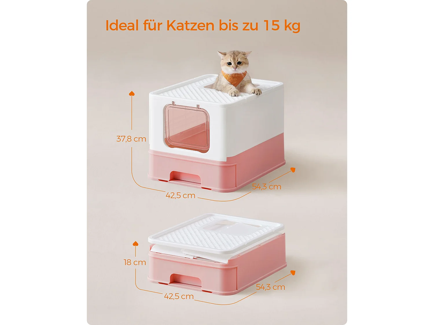 Katzenklo New Germany