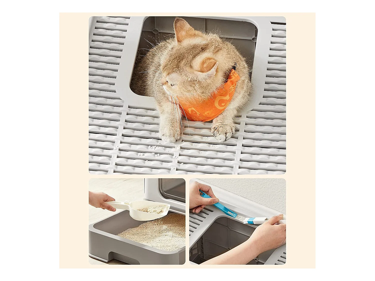 Katzenklo Knittelfeld