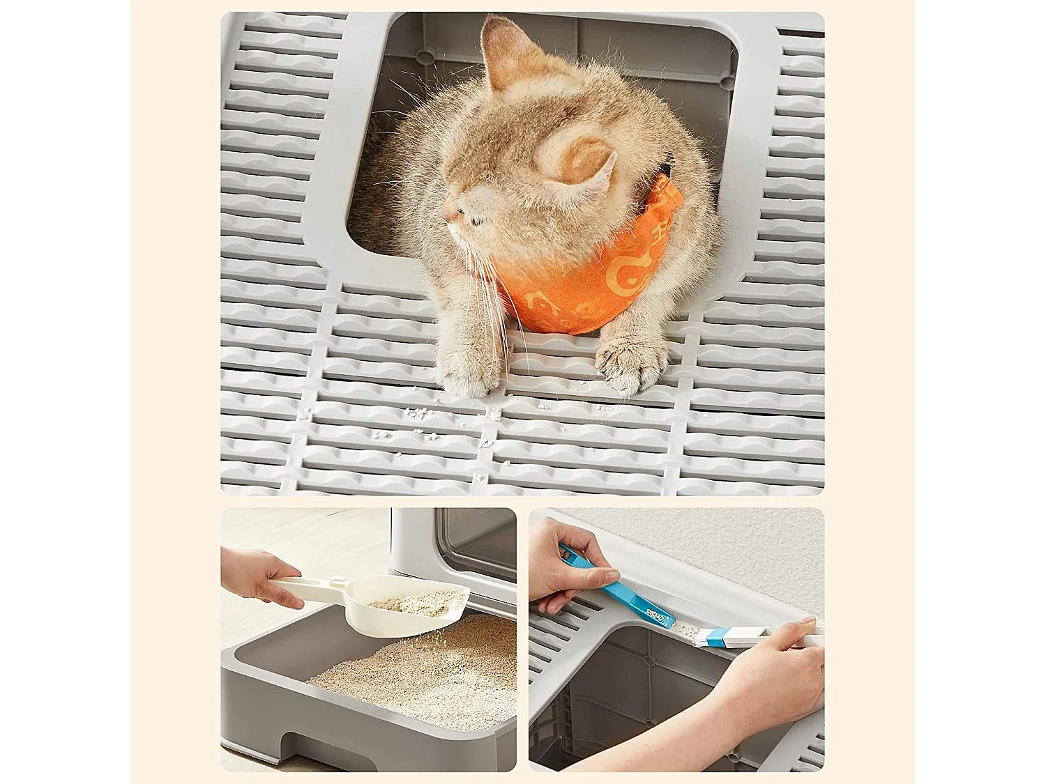 Katzenklo Knittelfeld