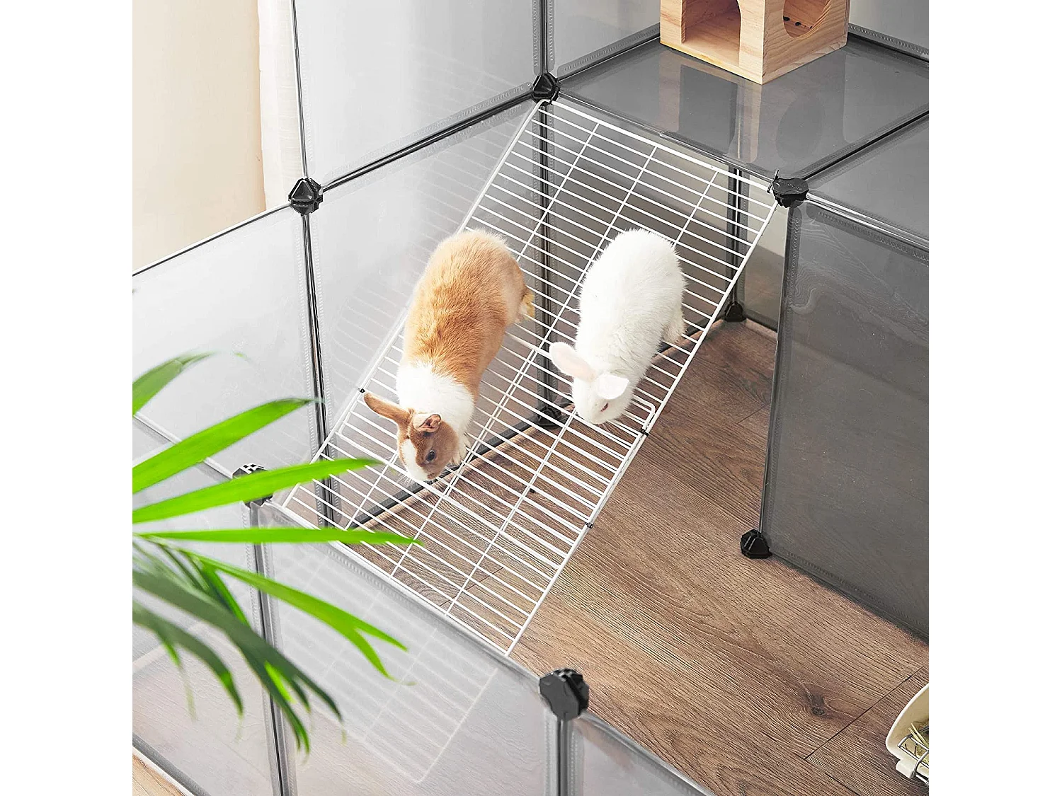 Cage pour chien Ganderkesee