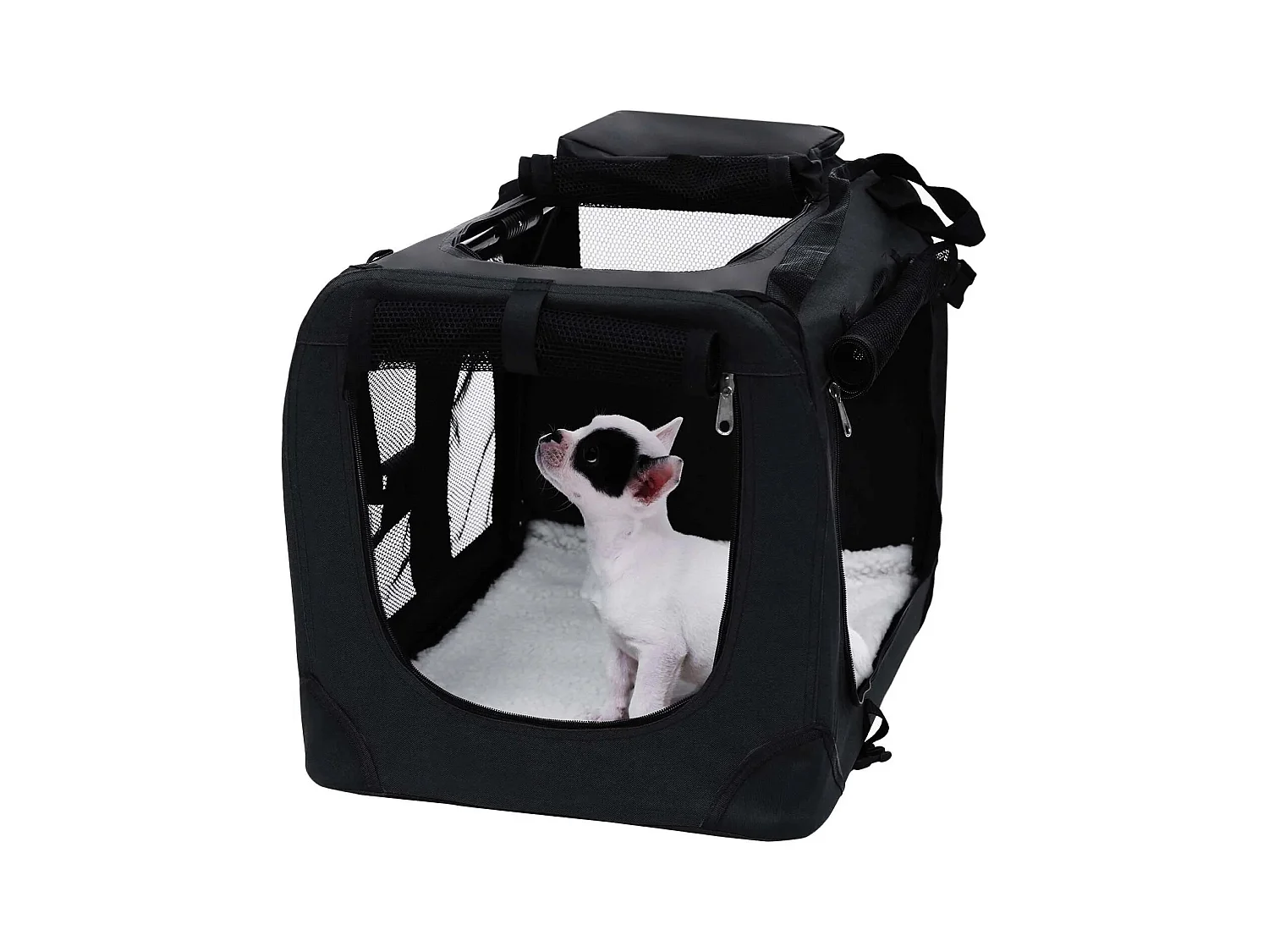 Hundebox San Antonio