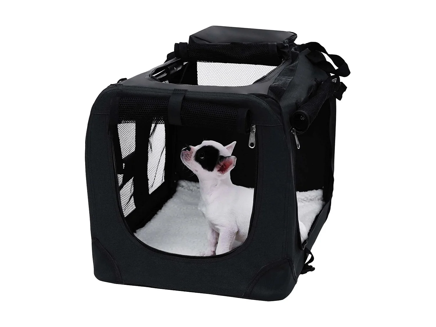 Hundebox San Antonio