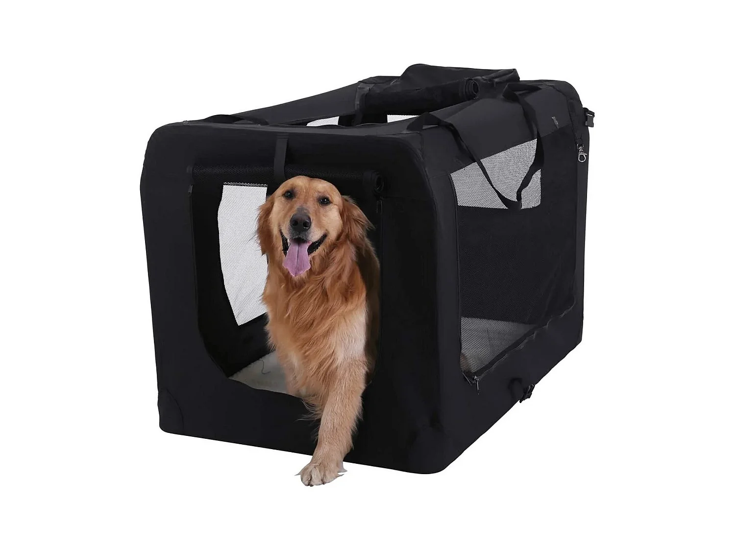 Hundebox Ulaanbaatar