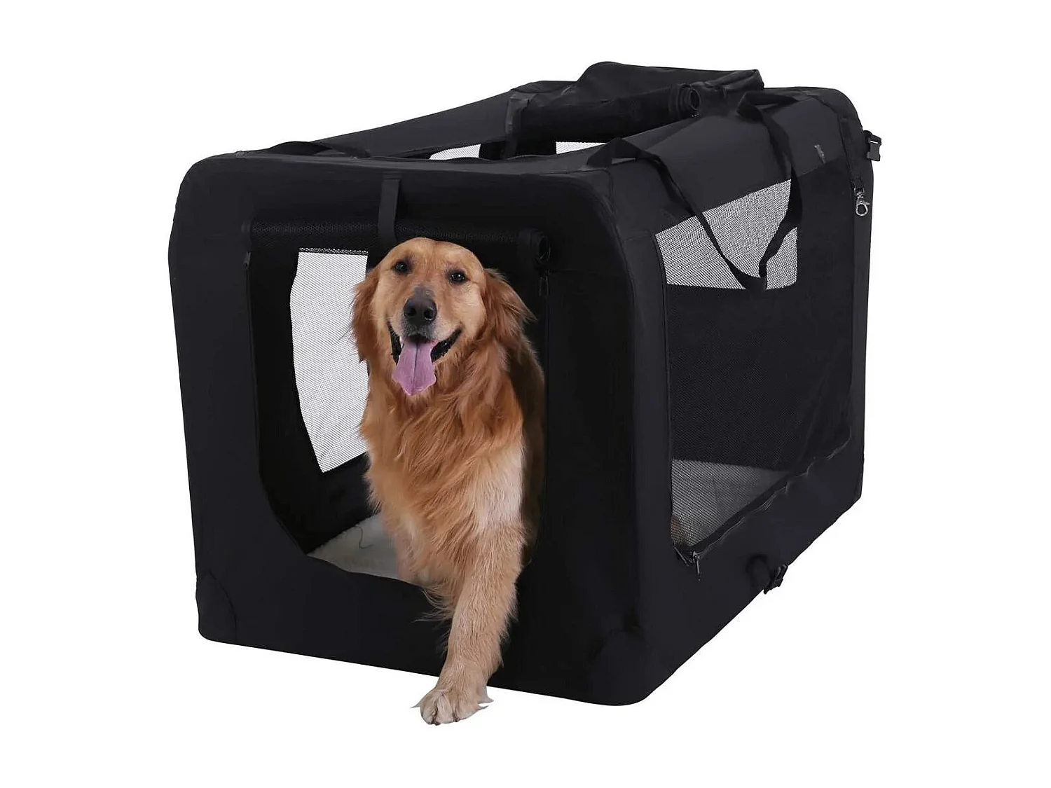 Hundebox Ulaanbaatar