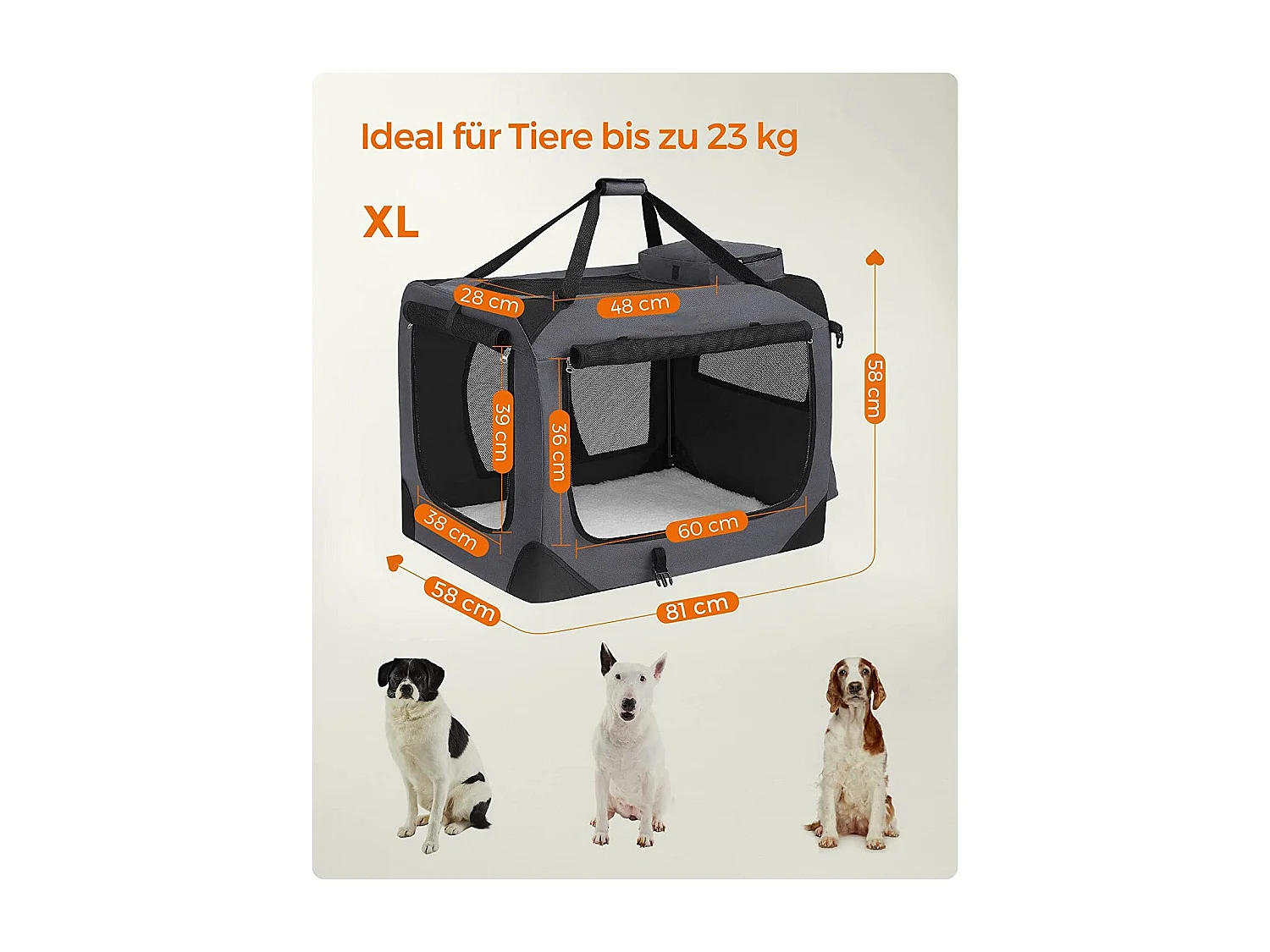 Hundebox Miarinarivo