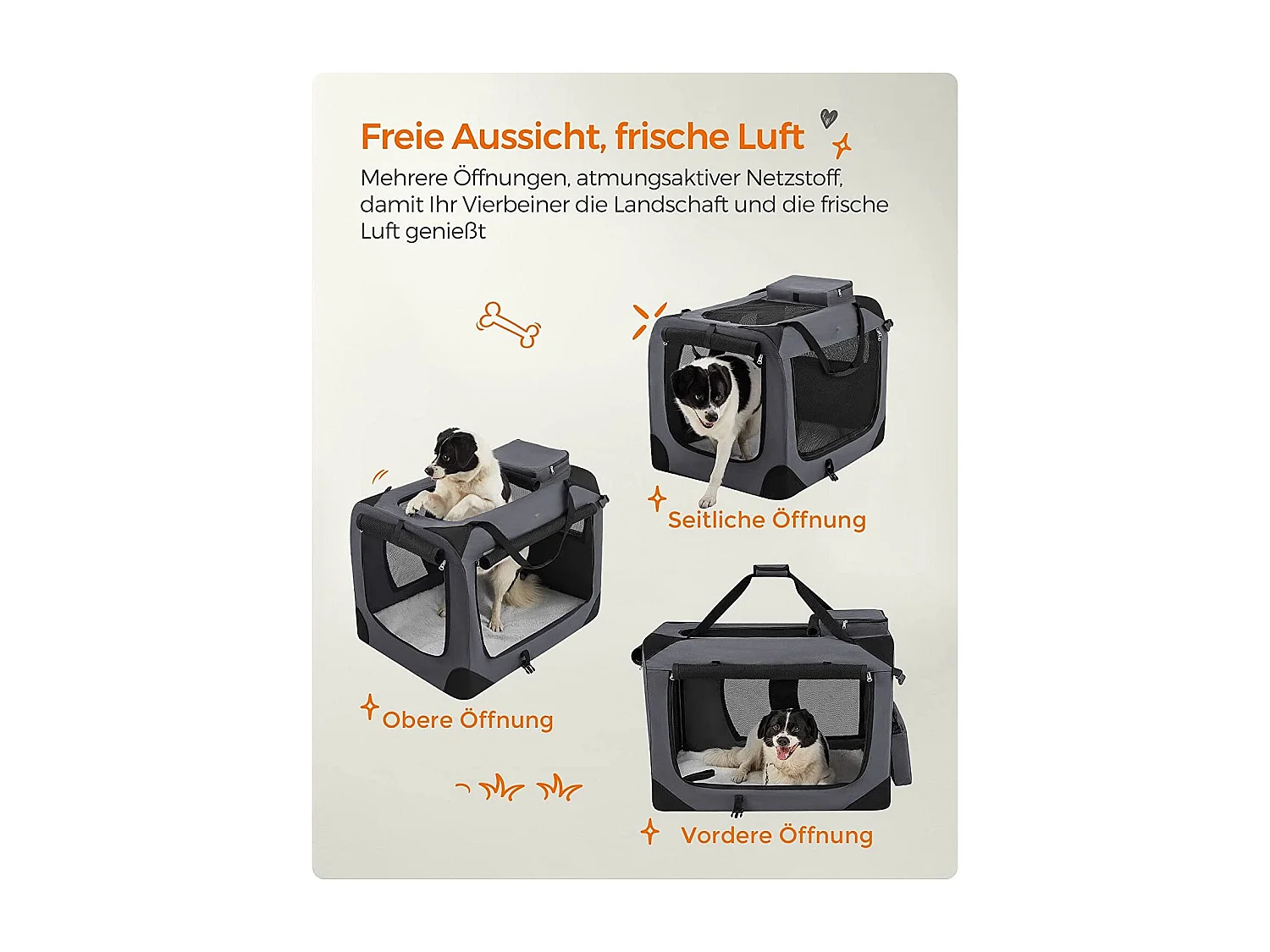 Hundebox Miarinarivo