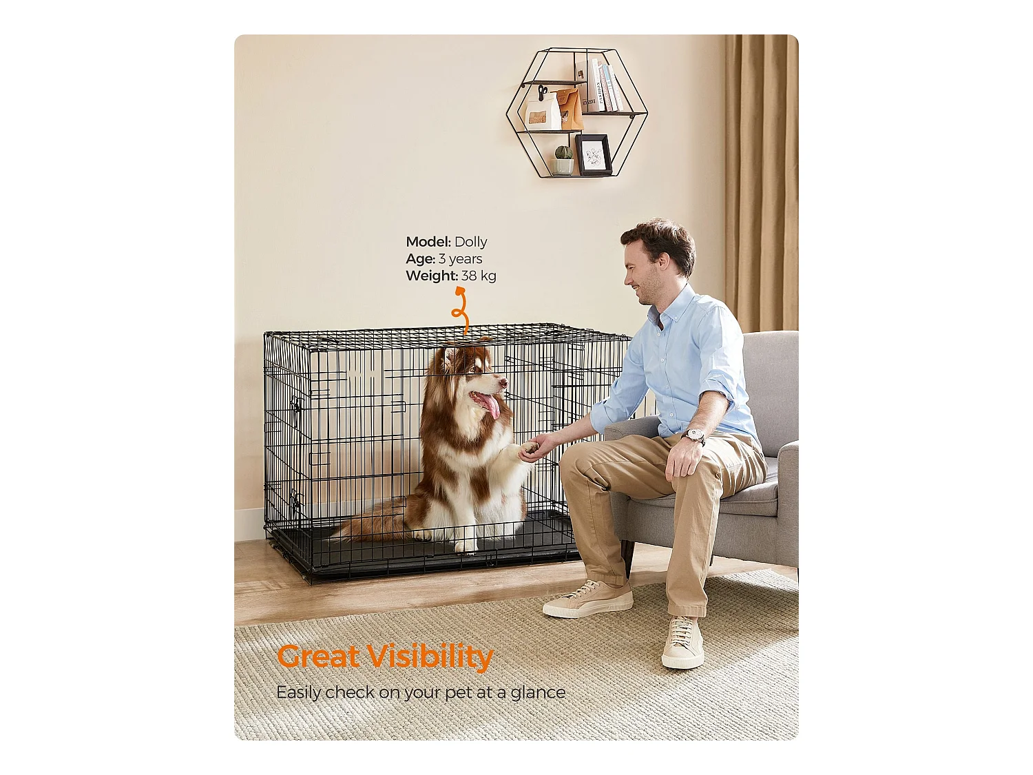 Hundekäfig Addis Ababa