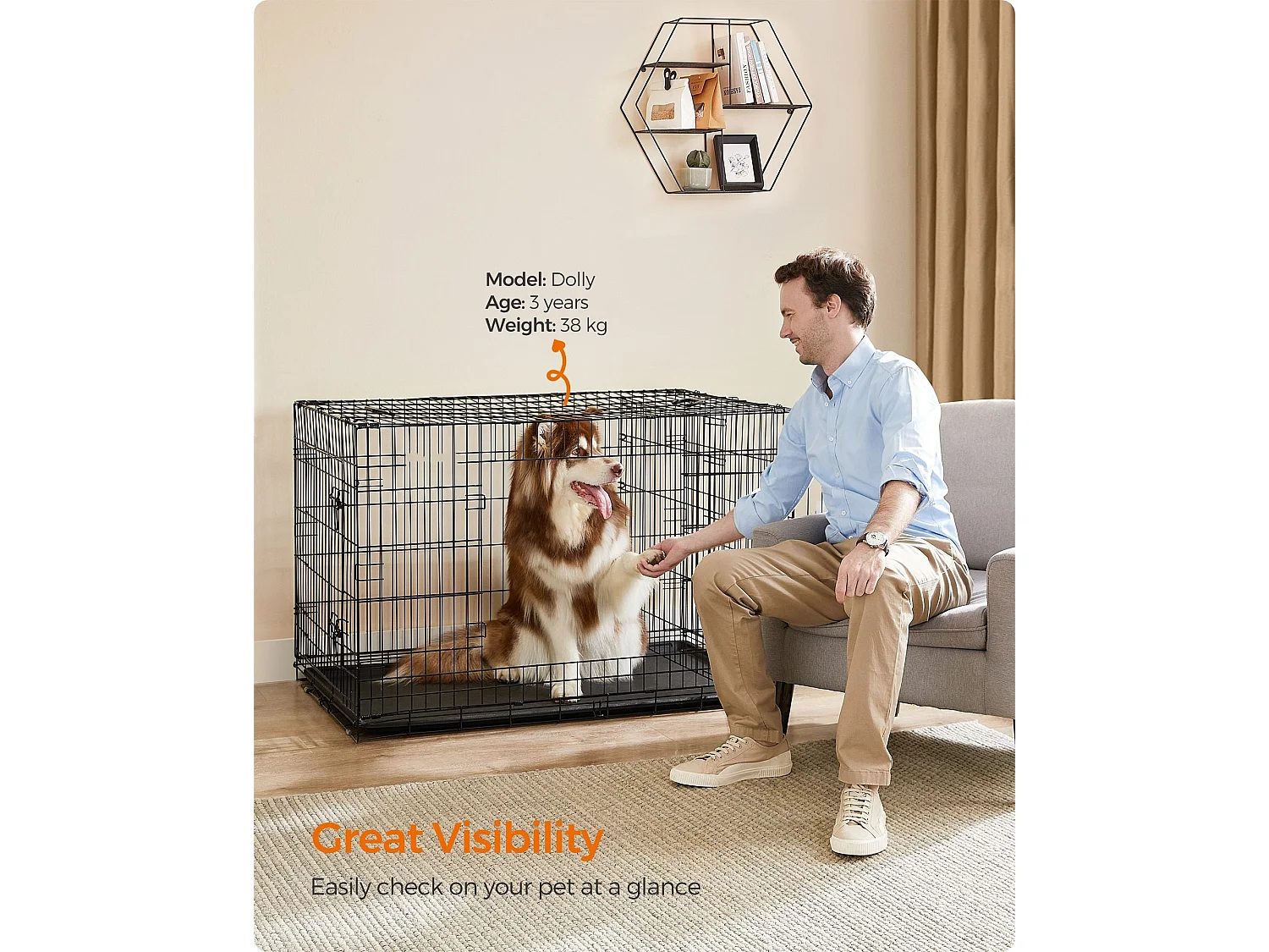 Hundekäfig Addis Ababa