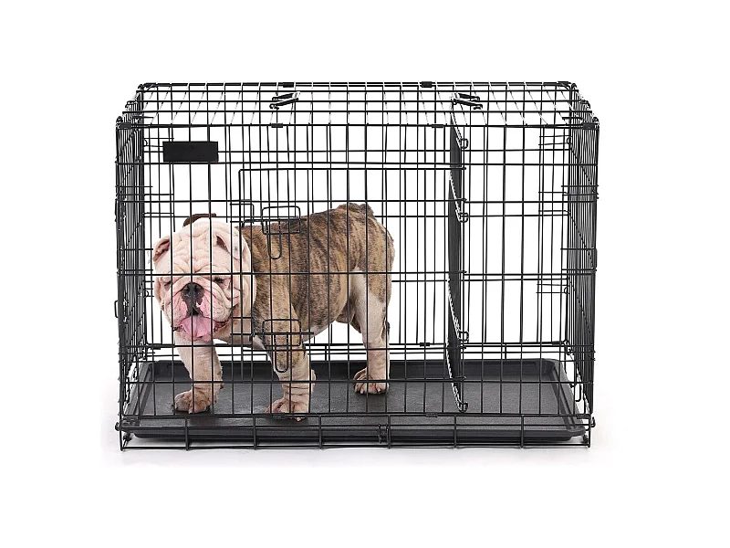 Hundekäfig Cape Town