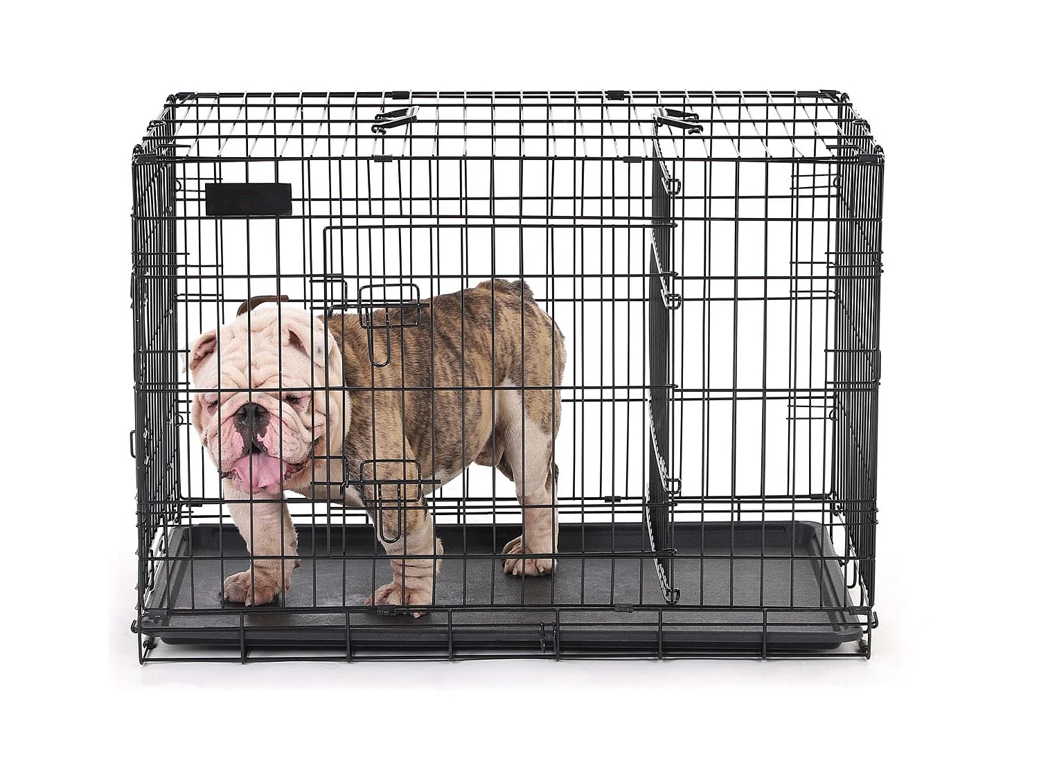 Hundekäfig Cape Town