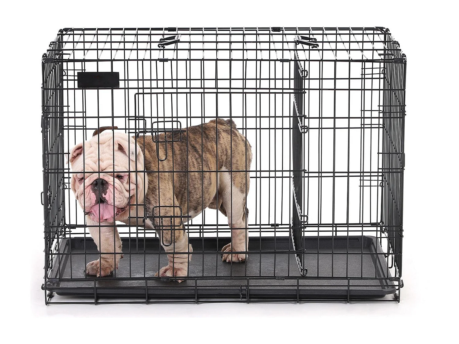 Hundekäfig Cape Town