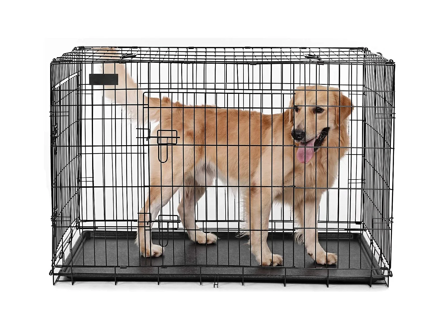 Hundekäfig Addis Ababa