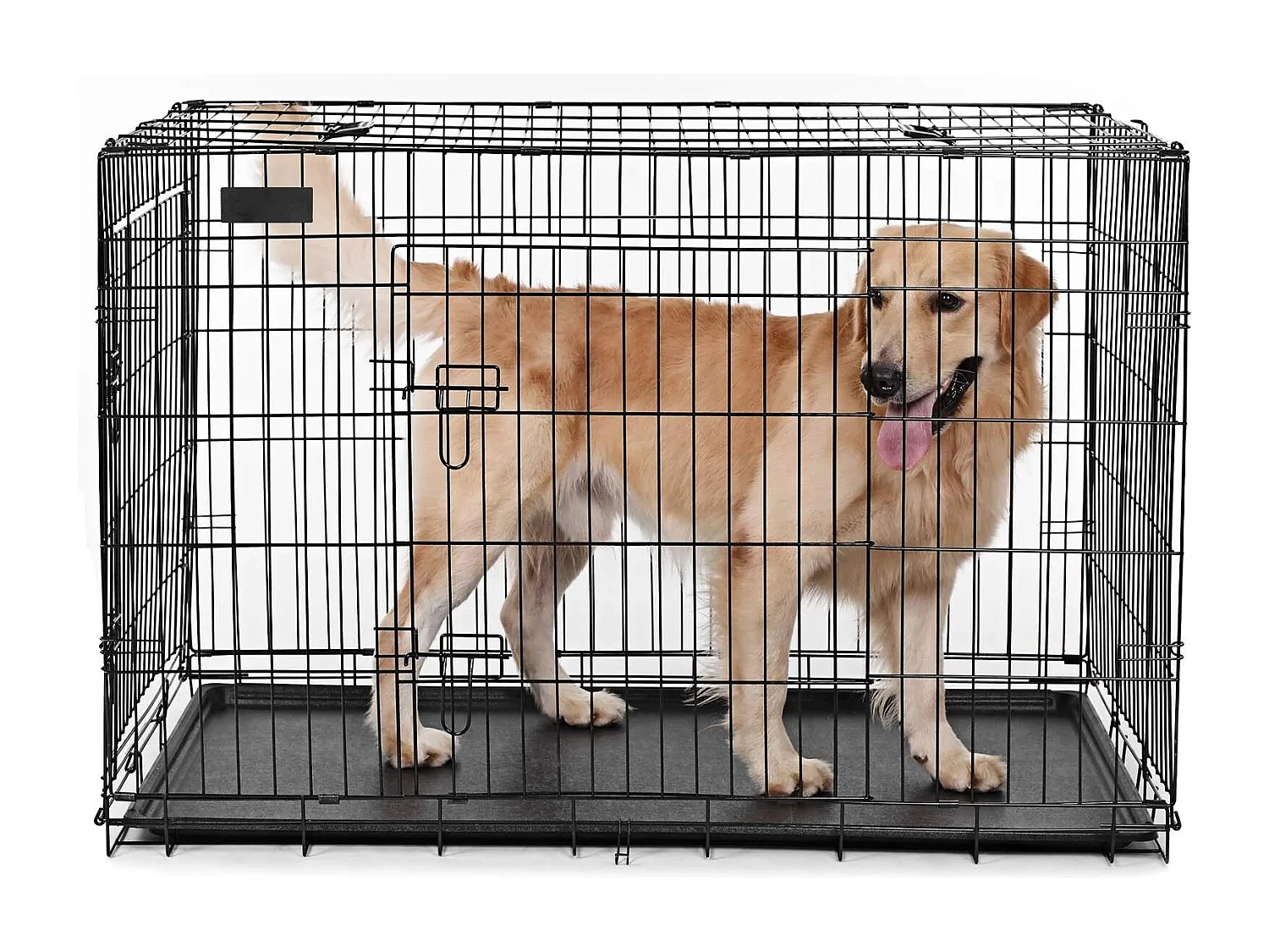 Hundekäfig Addis Ababa