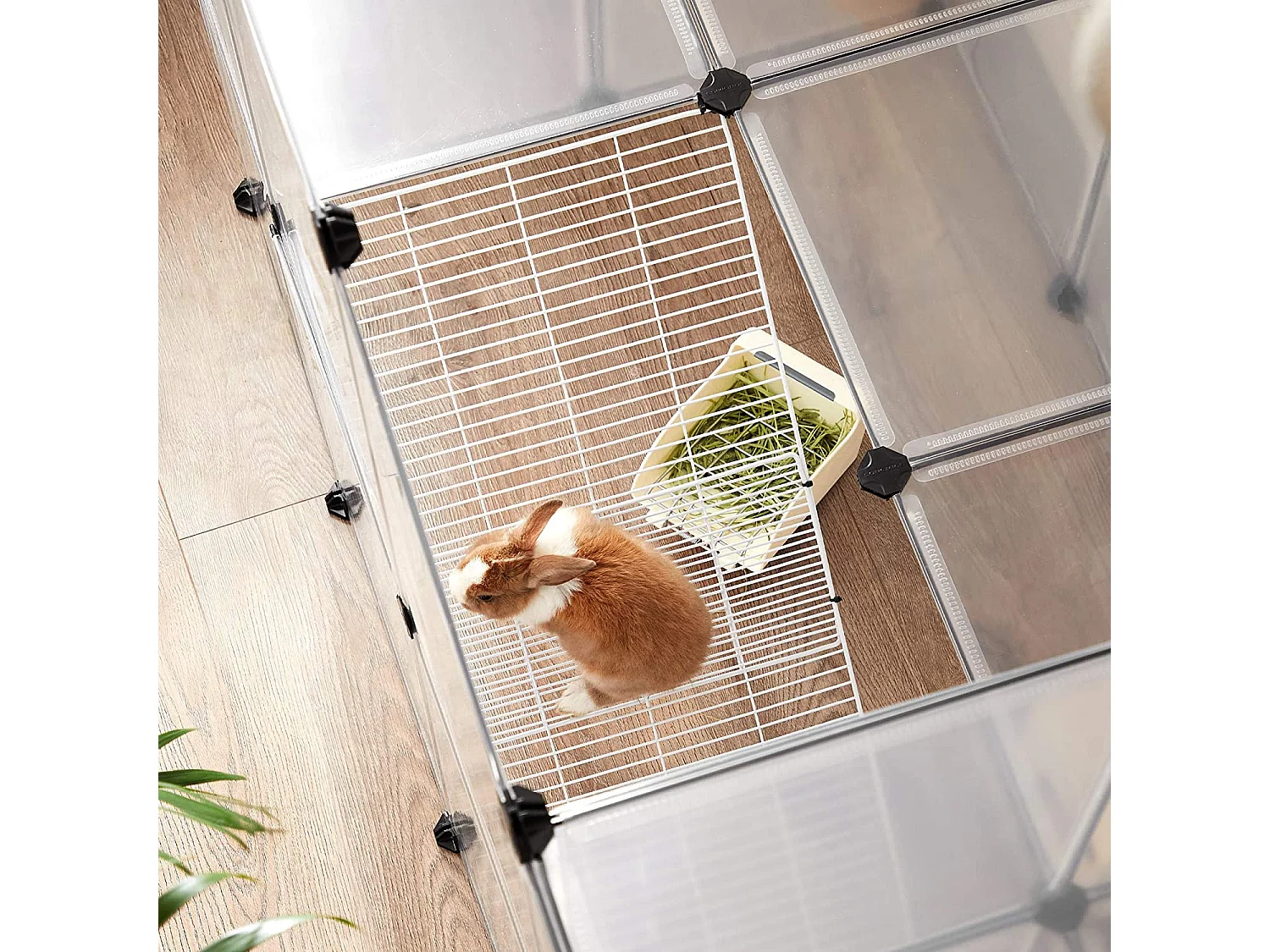 Enceinte extérieure de Singapour