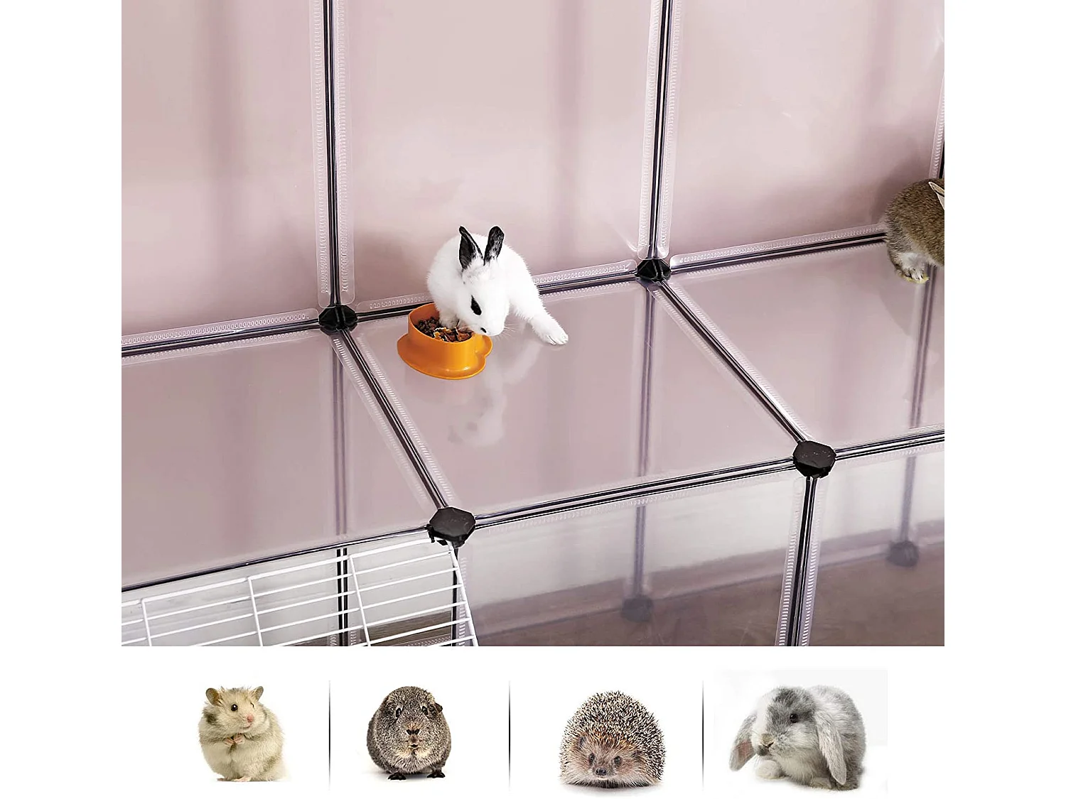 Hundebox Ganderkesee