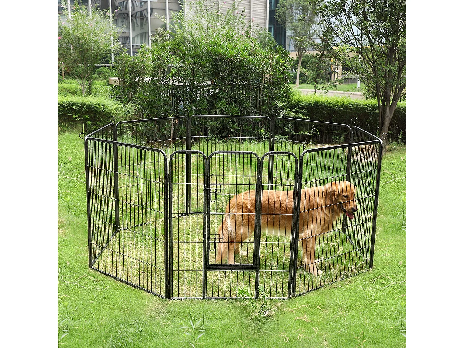 Parc pour chiots à Polokwane