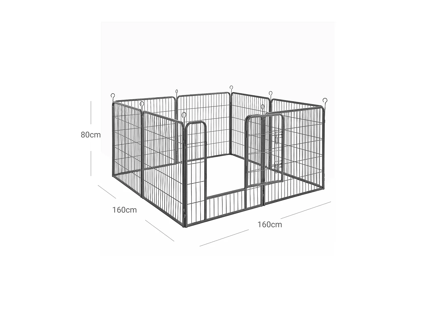Parc pour chiots à Polokwane