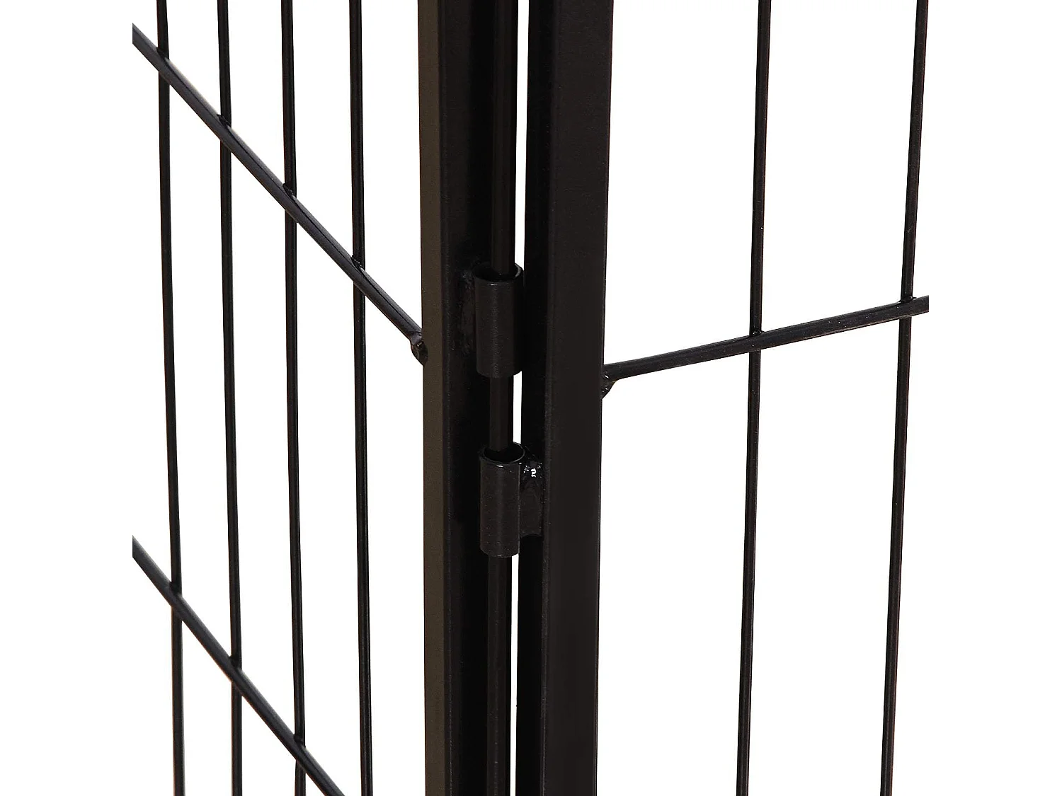 Welpenauslauf Polokwane