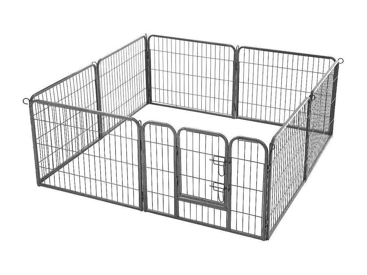 Welpenauslauf San Francisco