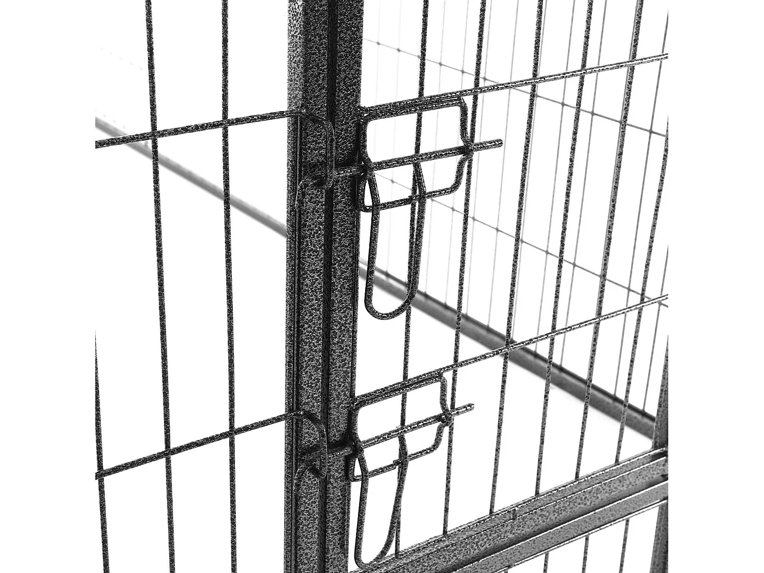 Welpenauslauf San Francisco