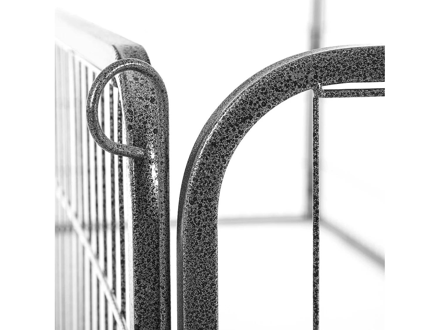 Welpenauslauf San Francisco