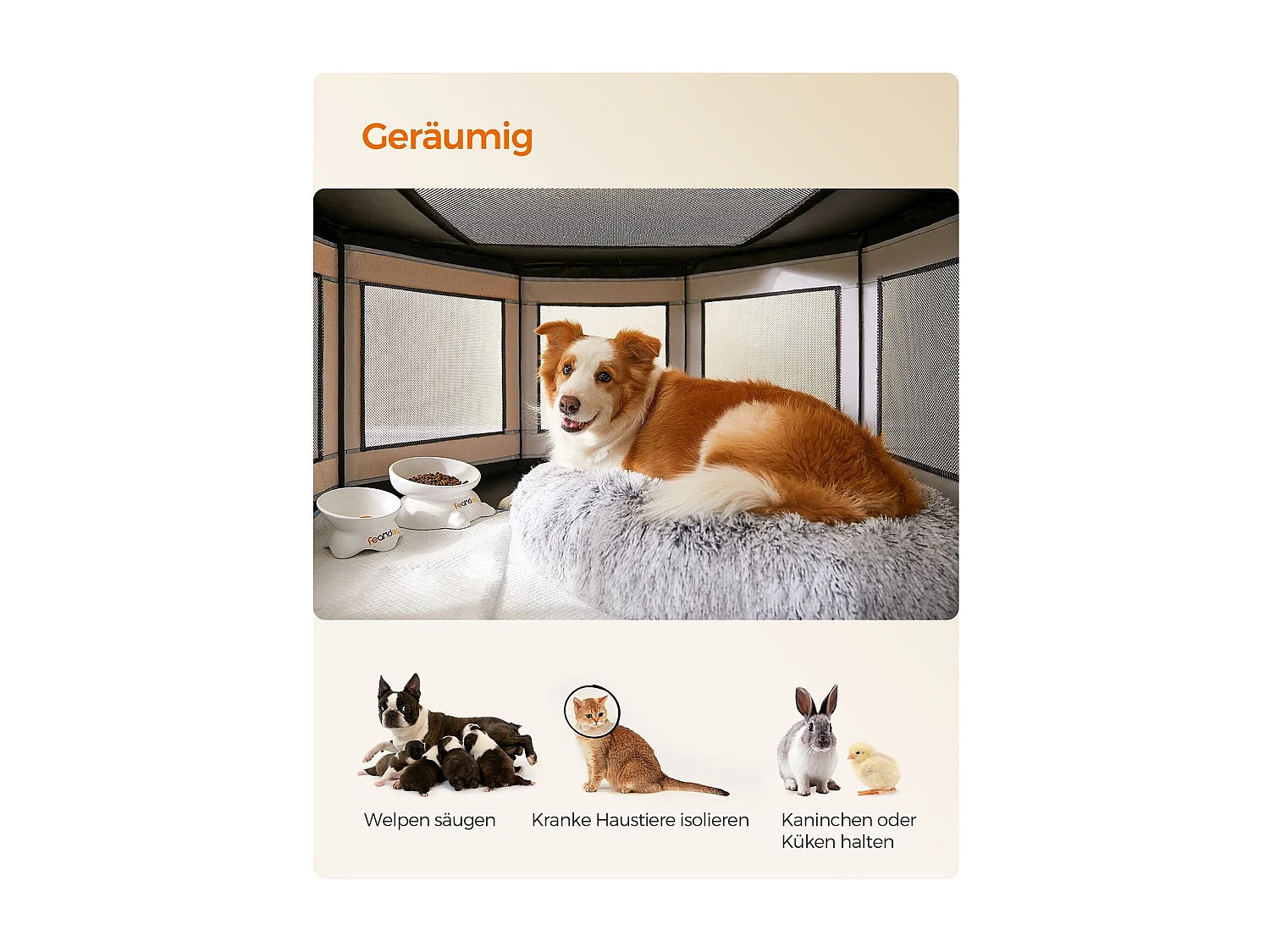 Welpenauslauf Rustenburg