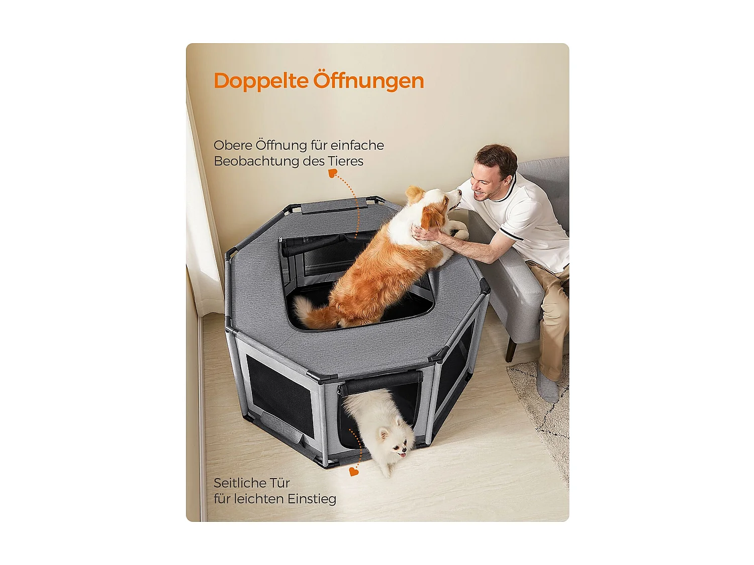 Welpenauslauf Rustenburg