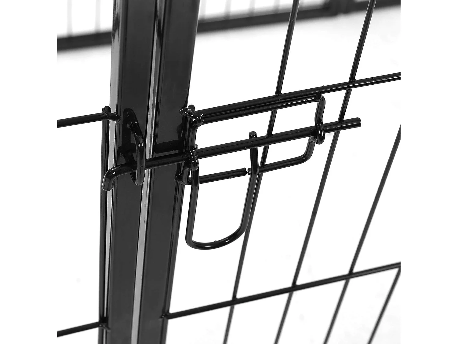 Welpenauslauf Glenshaw