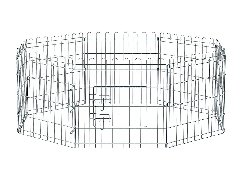 Welpenauslauf Kimberley