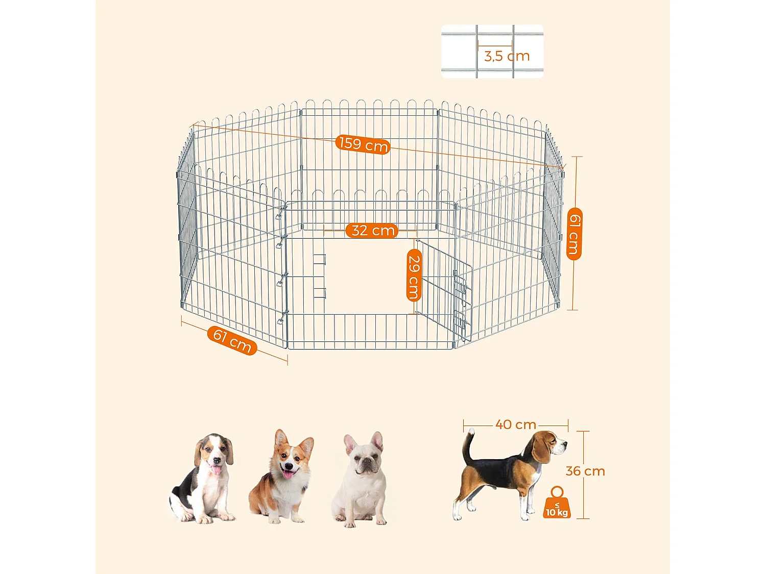 Welpenauslauf Kimberley