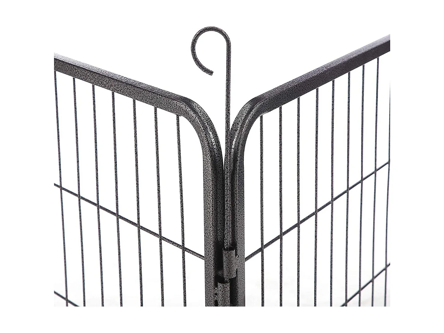 Welpenauslauf Bangkok